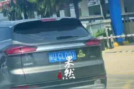 越野车停上“树顶”？视频封面