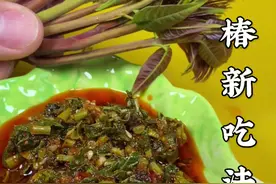 香椿新吃法，您肯定没吃过？老好吃啦！#抖音美食 #跟着抖音学做菜 #食材随机搭配挑战 #香椿 #美食 #美食教程 #农村美食 #抖音美食创作人 #抖音美食推荐官 #我要当同城红人 #家常菜 视频封面