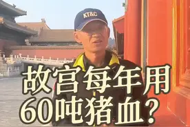 故宫维修高峰期，一年为什么要用到60吨猪血？ #故宫博物院 #古建材料 #地仗#中华文化博大精深 #传承文化 视频封面