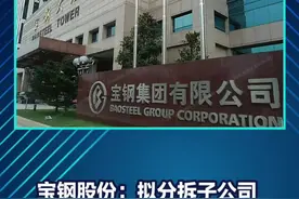 宝钢股份：拟分拆子公司宝武碳业至创业板上市。#宝钢股份 视频封面