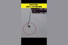 #重庆 #景区 用#猪 #蹦极 庆开业，网友：惨叫连连，你考虑过猪的感受吗？@DOU+小助手 @抖音短视频视频封面