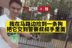 当走失哈士奇进入派出所……#走失哈士奇大拆派出所办公室视频封面