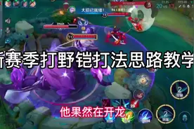 30星对我来说就是铂金局，没有辅助我照样可以去反野找节奏视频封面
