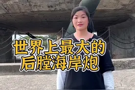 被列入吉尼斯世界纪录，世界上最大的后膛海岸炮#德国克虏伯大炮 #大炮#世界之最#历史#旅行大玩家视频封面