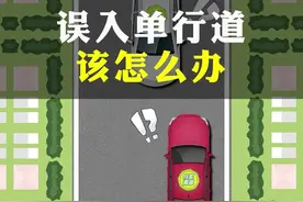 误入了单行道不要慌，这样做不扣分也不罚款。#交通安全小常识 #车知识分享计划 #单行道 视频封面