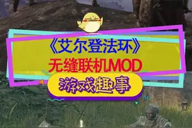 #艾尔登法环 无缝联机MOD！圆桌厅堂开派对，多人骑马纵横交界地#游戏mod #steam游戏 视频封面