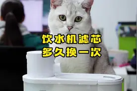 饮水机滤芯多久换一次？有没有必要经常换？#小呵OHHPET视频封面