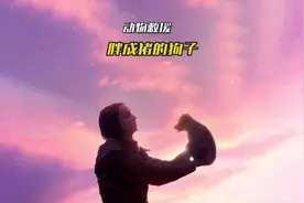 一只胖的像头猪的狗子，钻石级懒癌患者，看如何鼓励它主动减肥视频封面