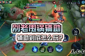 别什么事都怪辅助 认真看完也许你对辅助有不一样的理解#辅助视频封面
