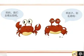成语系列之横行霸道！ #横行霸道 #绘本故事 #动画视频封面