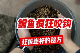 让鳊鱼疯狂咬钩的窝料配方！专攻野钓鳊鱼自制#小麦窝料 制作方法视频封面