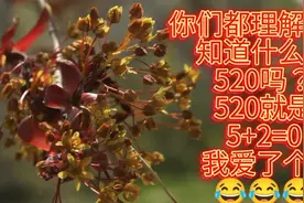 你们都搞错了，知道什么才是520吗？520就是5+2=0视频封面