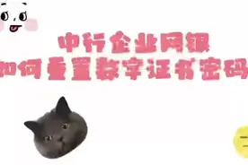 教你如何重置企业网银数字证书密码。。。#中行企业银行视频封面