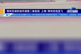 鄂州花湖机场还将开通哪些航线？业内人士为您来揭晓！小伙伴们，你们期待吗？#鄂州花湖机场 #航线#开通#揭晓视频封面