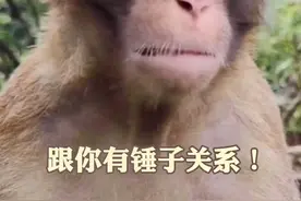 #勇老表搞笑 #四川方言#正能量 ~侯老表这次臊皮啦…😂#情人节 #上热门视频封面
