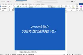 word文档旁边的竖线是个啥？#职场王者 #牛闪闪办公视频封面