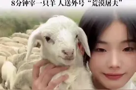 新疆00后噶羊少女回应走红：8分钟宰一只羊 人送外号“荒漠屠夫”视频封面