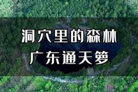广东大山深处发现一神秘洞穴，号称中华第一洞，洞里竟然有原始森林，还形成了独特的生态，在中国仅仅发现这一处，在世界上亦属罕见！#旅行推荐官 #旅行大玩家 #天坑 #探洞 #通天箩视频封面