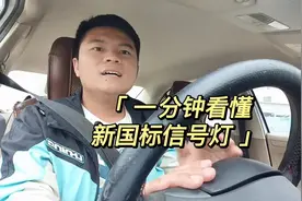 #考驾照 #学车 #安全驾驶 #遵守交通规则 一分钟看懂新国标信号灯视频封面