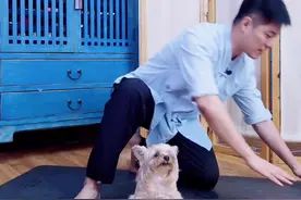 肚子大，猫式练起来！#减肚子 #瘦肚子 #瘦身 #减肥
