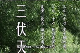 冬练三九  夏练三伏，伏天吃羊肉对人体有好处吗！视频封面