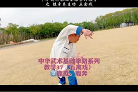 五禽戏第二节鹿抵和鹿奔动作教学#一招搞定小皮孩视频封面