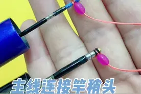 #钓鱼小知识 #新手钓鱼 #主线连接竿稍 两种常用的竿稍头连接方法@DOU+上热门 @DOU+小助手视频封面