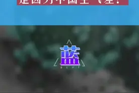 中国癌症患者数量全球第一，高于第二名美国一倍左右。难道真因为空气差吗？#癌症 #空气质量#赵英俊的歌视频封面
