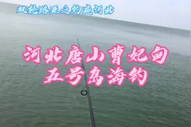 钓遍河北-河北唐山曹妃甸五号岛海钓#路亚野钓 #海钓鲈鱼#愣巴视频封面
