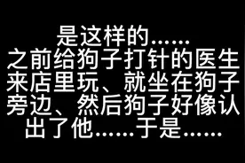 当狗子看到给他打过针的医生的反应……视频封面