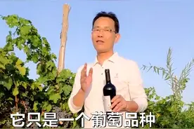 红酒瓶上标示的“赤霞珠”你是否了解？#梦庄主说视频封面