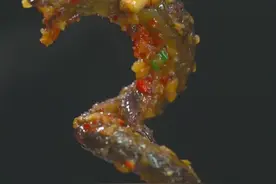 很多人的疑问，这小鳝鱼要怎么去内脏再烹饪呢？#美食 #家常菜视频封面