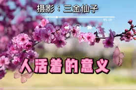 静下心，请听这首歌，它会告诉你人活着的意义是什么？视频封面