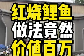 这家红烧鲤鱼的做法，光选鱼都堪比选美！#媒体人周刊 #河南创作营 #河南美好推荐官 #老家河南 #谷雨春 #美食推荐视频封面