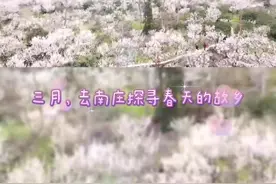 南庄，你在为谁芬芳？#沿河南庄李花节 #李花视频封面