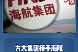 方大集团接手海航！#方大集团 #海航 视频封面