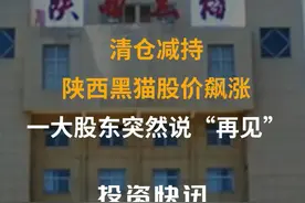 清仓减持！陕西黑猫股价飙涨  一大股东突然说“再见”#减持#陕西黑猫视频封面