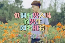 #创作灵感  低调有男人味的网名推荐#网名网名 #网名昵称 #网名id视频封面