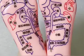 足部反射区图，你喜欢吗#医学证明脚是人体的第二心脏#足底按摩#穴位按摩居家锻炼视频封面