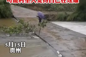5月15日，贵州一男子自费在家门口修桥 ，称村里有些人看不惯 ，砍树堵桥。#社会百态视频封面