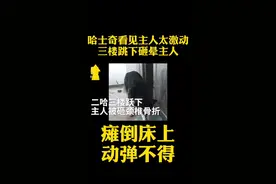 #哈士奇 看见主人太激动，从三楼跳下砸瘫主人！视频封面