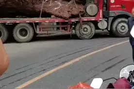 四川乐山一地挖出疑似乌木，当地政府将按正规程序研究后再行处置视频封面