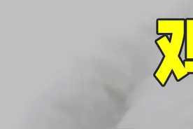 真的有长六只鸡腿四只鸡翅的速生鸡吗？#科普 #鸡视频封面