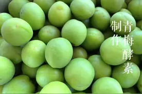 #梅子酵素 自己动手做起来很有意思，有了小助理的帮忙视频封面
