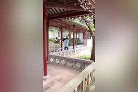 亭、台、楼、阁、轩、榭、坊、廊、桥，你清楚了吗？仔细看他们的名字，你会觉得更美进入它们的意境～#江南有才子视频封面