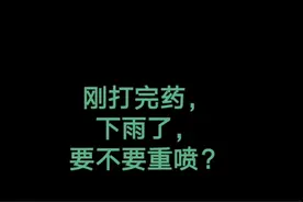 刚打完药，下雨了，要不要重喷？#农药#病虫害防治 #抖音助农视频封面