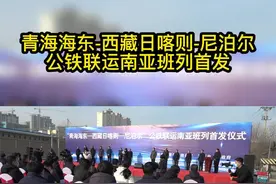 南亚货运班列在平安区铁路货场举发车#铁路 #班列视频封面