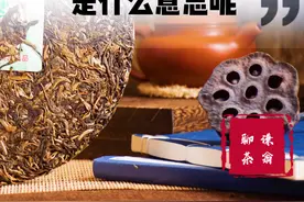 你们知道 #普洱茶的7542是什么意思吗？#知茶懂茶  #喝茶视频封面