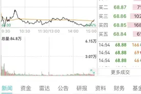 突发！大牛股20CM跌停，“茅族”三巨头大跌！#隆基股份 #中国中免 #中远海控 #新莱应材 #斯达半导 视频封面