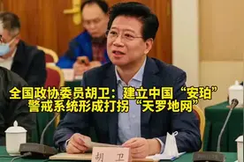 全国政协委员胡卫： 建立中国“安珀”警戒系统 形成打拐视频封面